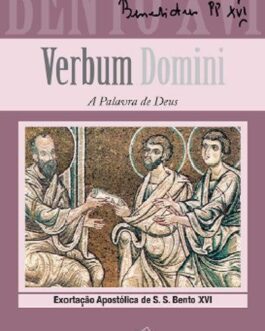Verbum Domini - Exortação Apostólica pós-sinodal - 194 - Papa Bento XVI