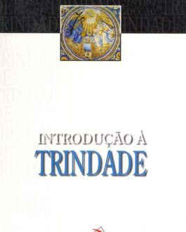 Introdução à Trindade - Lynne Faber Lorenzen
