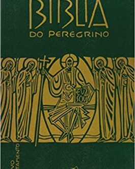 Biblia Do Peregrino - Novo Testamento - Luis Alonso Schokel