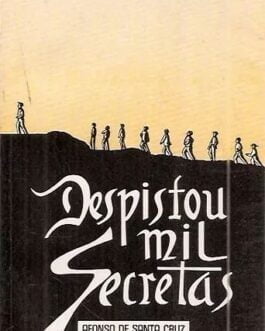 Despistou Mil Secretas - Afonso de Santa Cruz