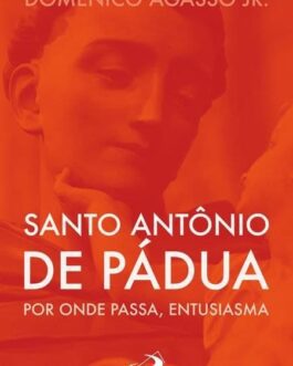Santo Antônio de Pádua por onde passa, entusiasma - Domenico Agasso Jr