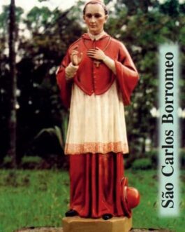 São Carlos Borromeo - Congregação das Irmãs Missionárias de São Carlos Borromeo-Scalabrinianas