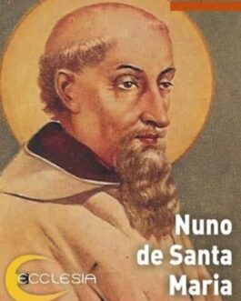 Nuno de Santa Maria - Ecclesia.Pt