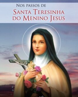 Nos passos de Santa Teresinha do Menino Jesus - Luiz Alexandre Solano Rossi
