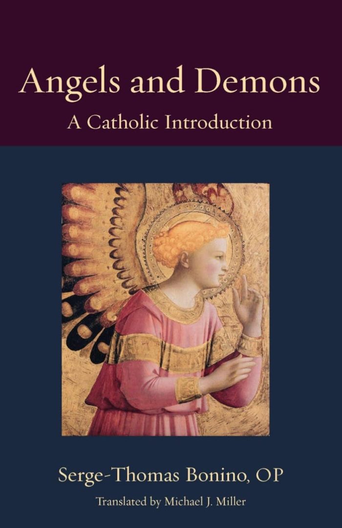 Angels and Demons A Catholic Introduction - Serge-Thomas Bonino