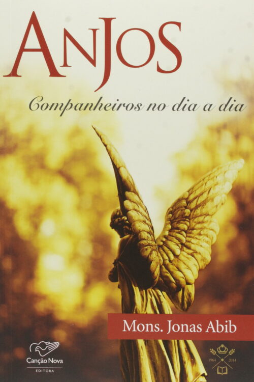 Anjos Companheiros no Dia a Dia
