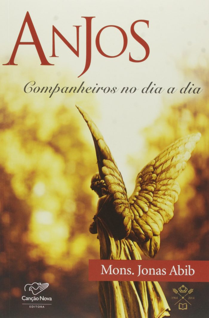 Anjos Companheiros no Dia a Dia