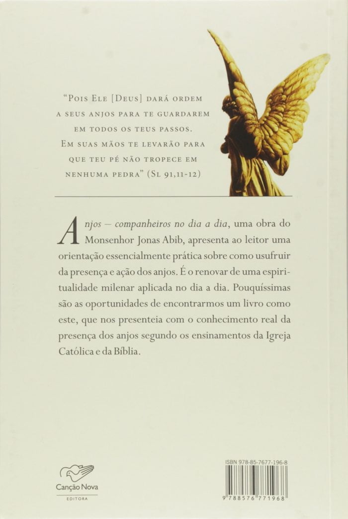 Anjos Companheiros no Dia a Dia - Imagem 2
