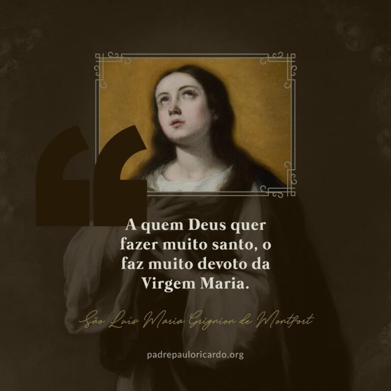 Escritos marianos selectos (Biblioteca de Clásicos Cristianos) - Imagem 2